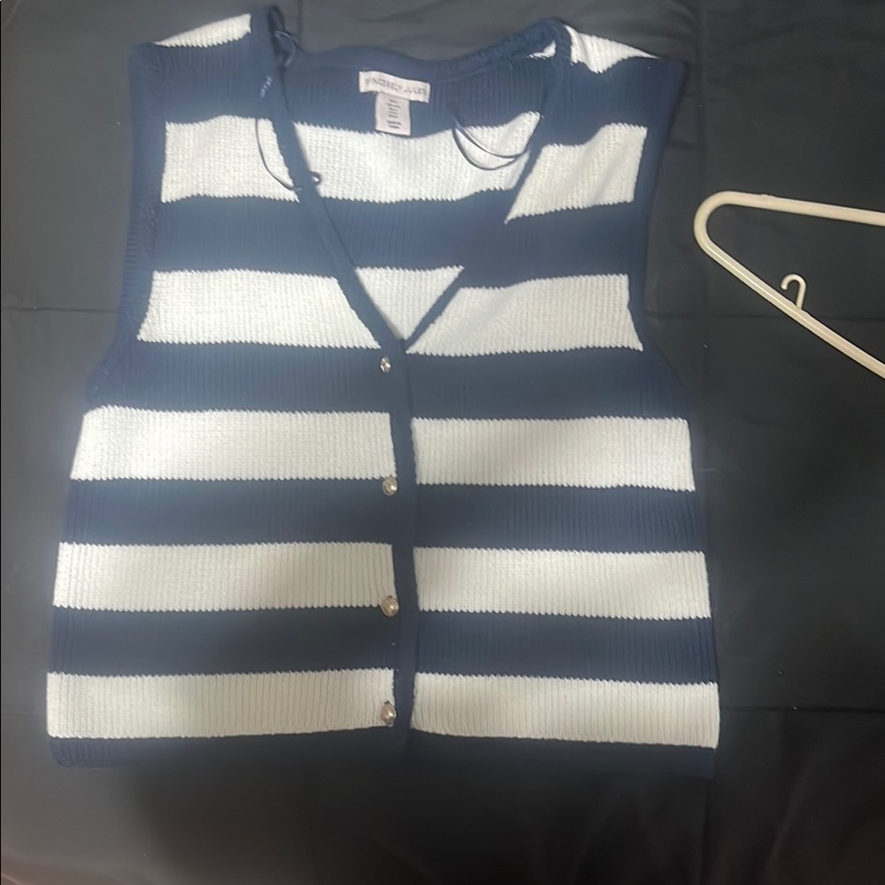 Striped Navy and White Sweater Vest